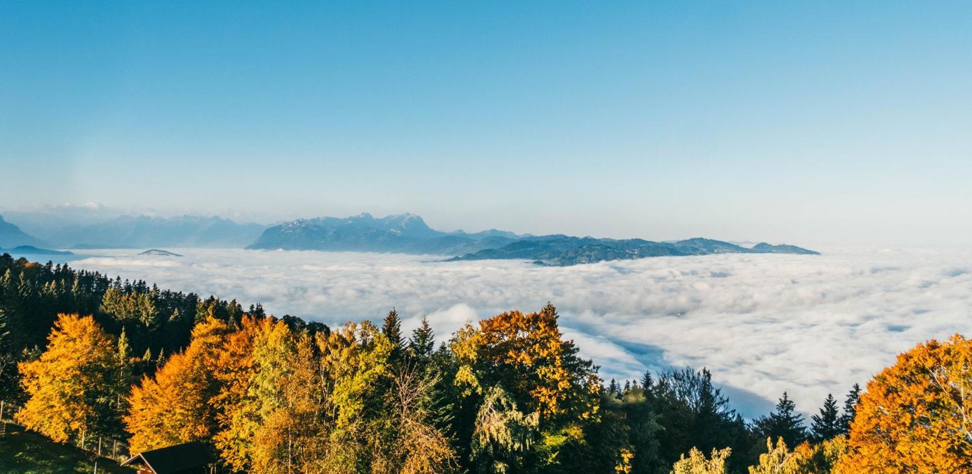 Seeblick Bregenz - Mit Parkgarage Экстерьер фото