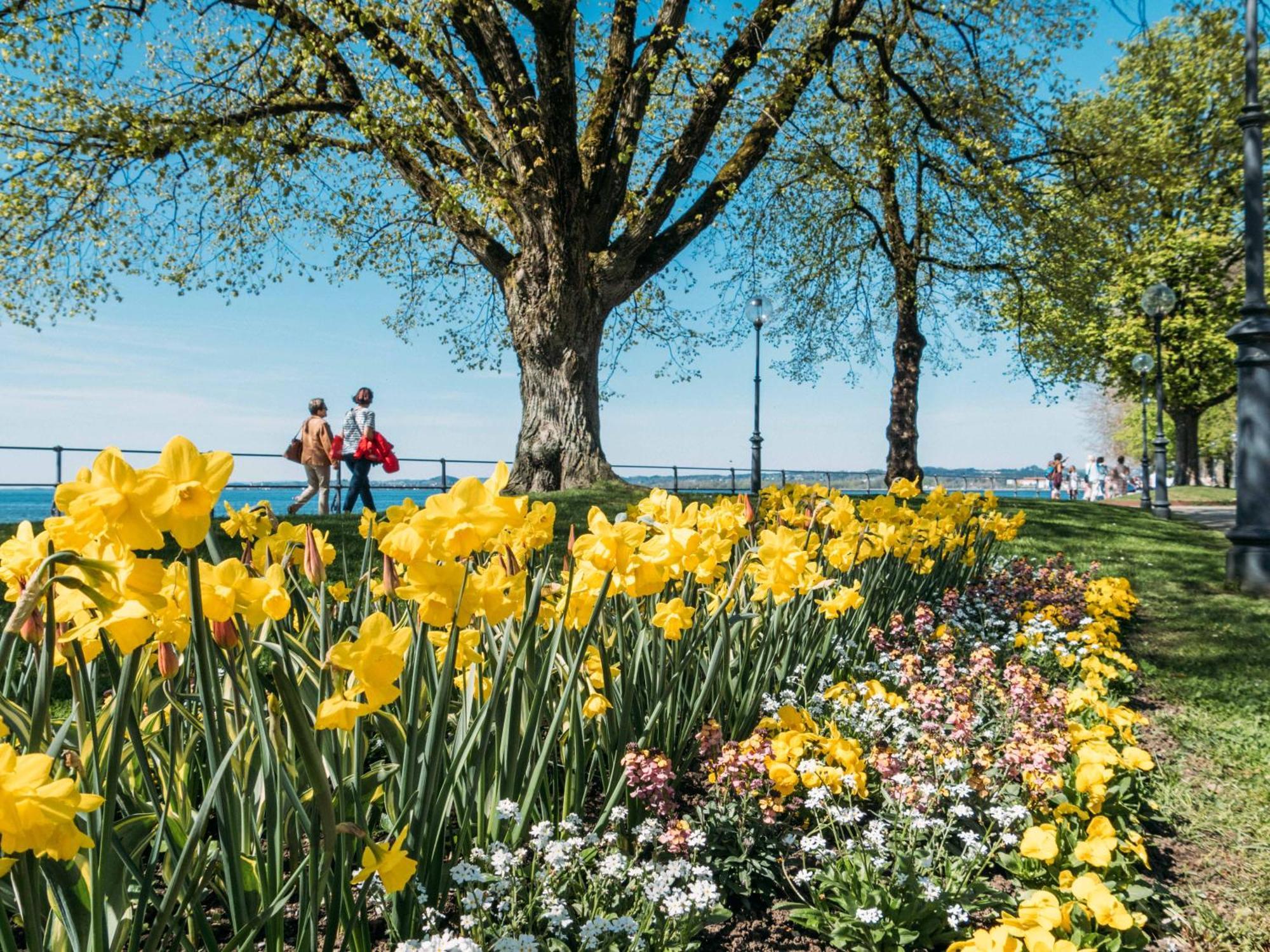 Seeblick Bregenz - Mit Parkgarage Экстерьер фото